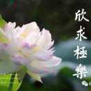 棉花糖