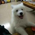 是高高陈啊丶