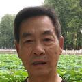 石首张大