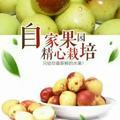 糊里糊涂的小懒虫_