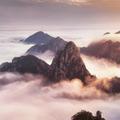 听 雨