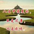 小磊_86691