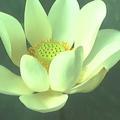 《骑着蜗牛狂奔》