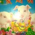 快乐每一天
