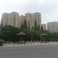 涑河景色