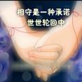 茶香书屋