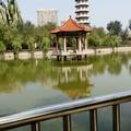 Guo_225554906