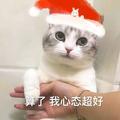 古来圣贤皆死尽