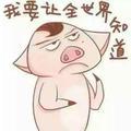 琦有琦理