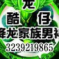 酷仔
