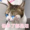 悠游1224