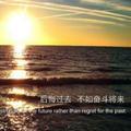 天若有情天亦老