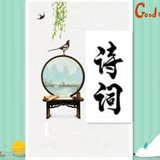 蓝玫瑰008