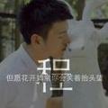 至死不渝