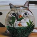 不爱吃鱼的猫