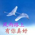 大安罗纳多三轮宝亮车行总经销，