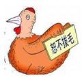 一毛不拔的铁公鸡