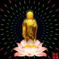 我心向太阳2O14