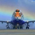 Tiger虎哥