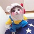 ʰᵉˡˡᵒ𝙠𝙞𝙩𝙩𝙮.