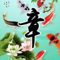 莲叶青青