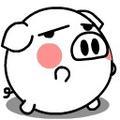 听风入夏