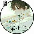 Ao宋小宝