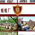 它山之石 可以攻玉