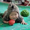  哭泣的海豚