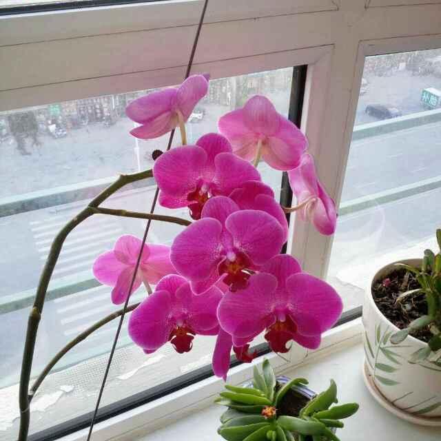 甜蜜蜜\_
