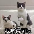 鲸落