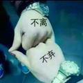一路有你