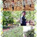 黑山老妖