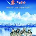 阿狼_1974837