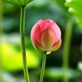 超越自我229
