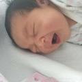 不吃大饼🥳