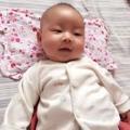 圣西罗酋长