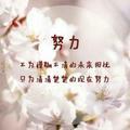 习惯有你