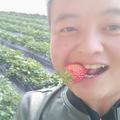 电视墙板材批发