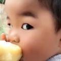 幸福豆630