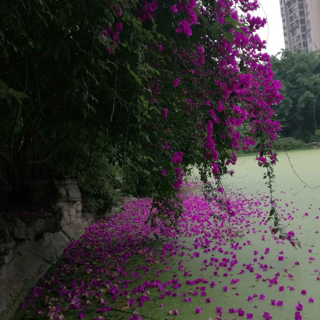 伴你春夏秋冬
