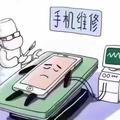 鲤鱼兄弟