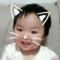 喵小姐_