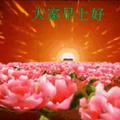 飞龙3429
