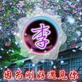 真情似水