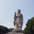 一碗小米粥