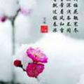 雪儿