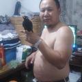 洛阳老李_