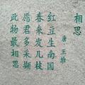 ~晚上看太阳~