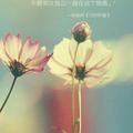 龙哥